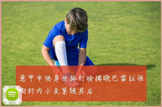 意甲中场身价排行榜揭晓巴雷拉领衔科内小麦紧随其后
