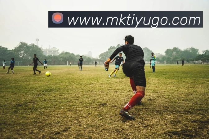 MK体育平台生态图