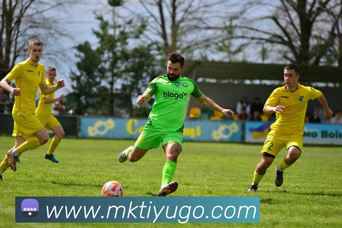 MK体育APP 封面图