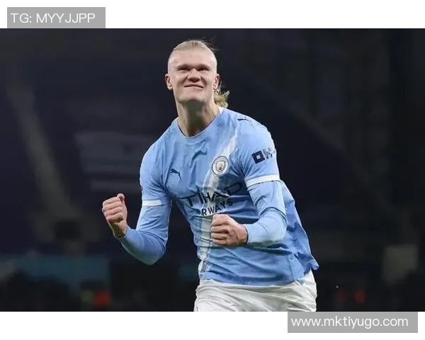 英超历史百球射手榜揭晓希勒领衔哈兰德仅用105场进96球